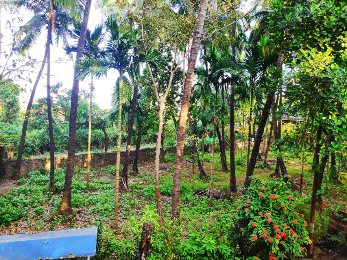 Ashish Baug Cottage Alībāg Exteriör bild