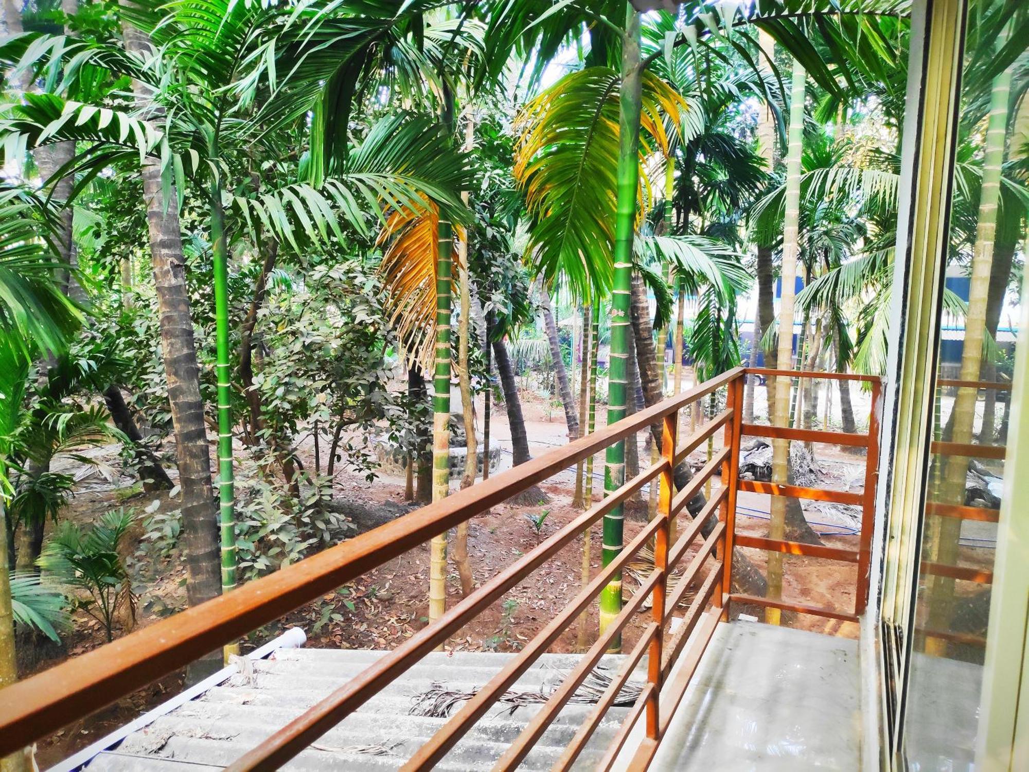 Ashish Baug Cottage Alībāg Rum bild